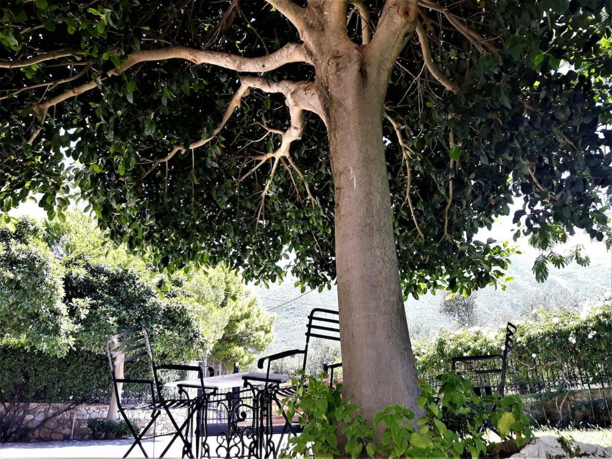 Luxury Country House In Kalamata / Sp 외부 사진