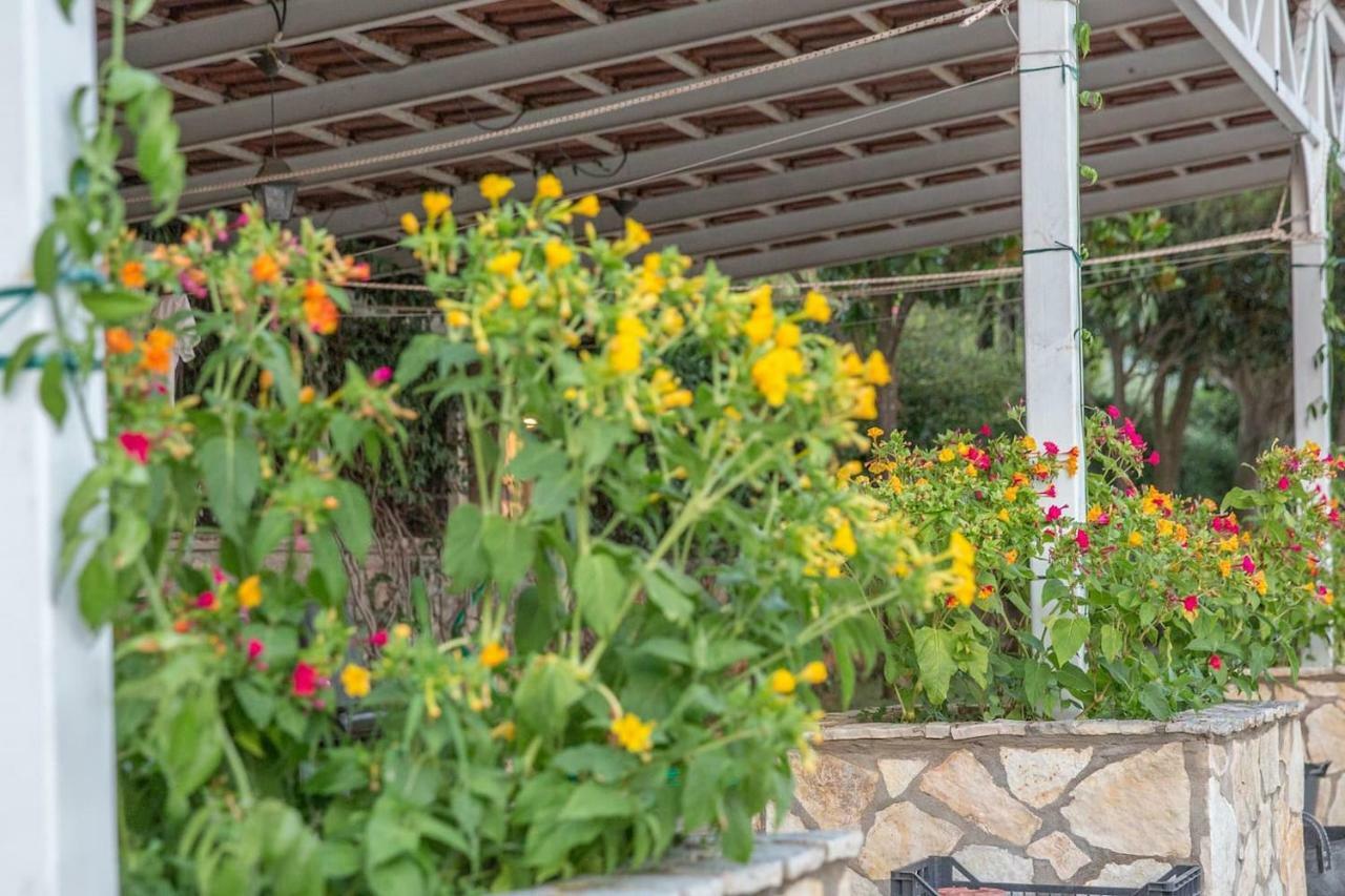 Luxury Country House In Kalamata / Sp 외부 사진