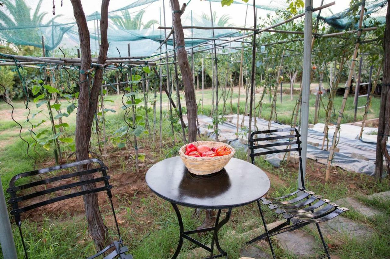 Luxury Country House In Kalamata / Sp 외부 사진